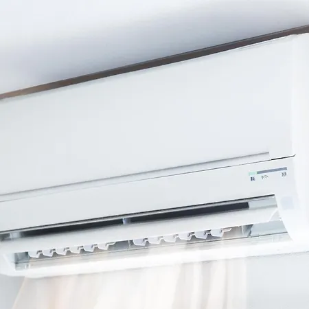 Quiet Sanibel - Happy