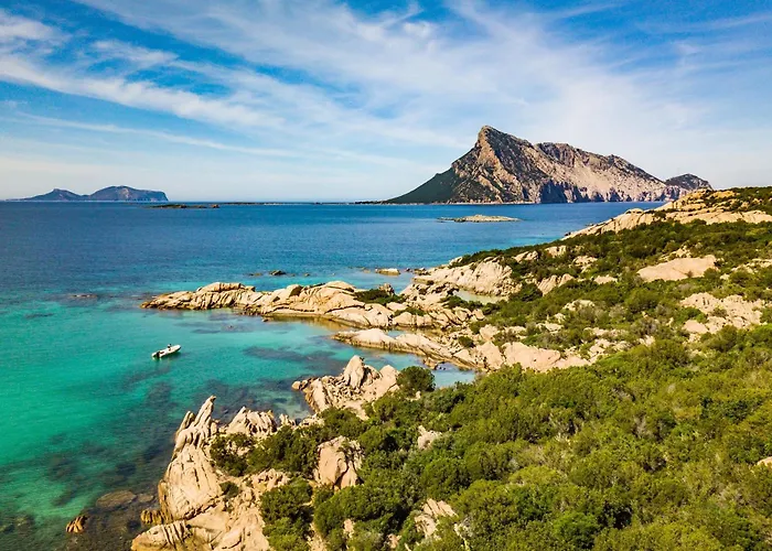 Quiet Sanibel - Happy